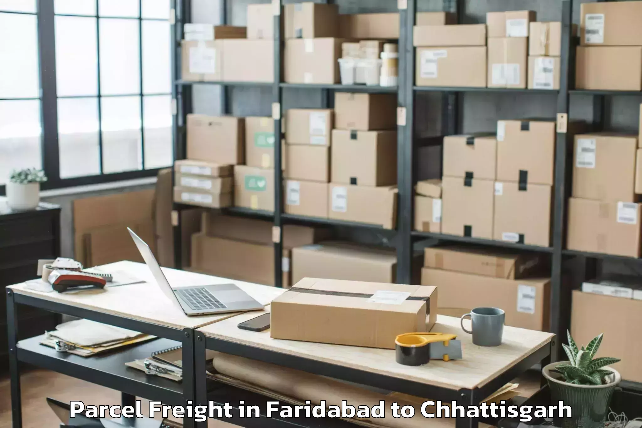 Book Faridabad to Raipur Airport Rpr Parcel Freight Online